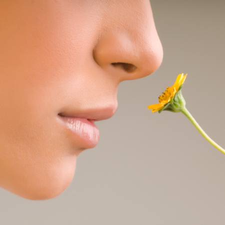 flower, face, nose, yellow Aldodi - Dreamstime