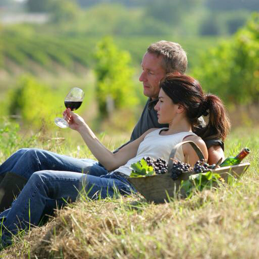 romance, romantic, wine, basket, person, persons, woman, man, glass, drink Auremar