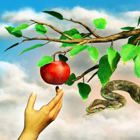 apple, snake, branch, green, leafs, hand Andreus - Dreamstime