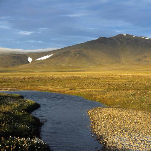 water, nature, mountain, yellow, field, snow, river Alexander Gruzdev (Gruzdevar)