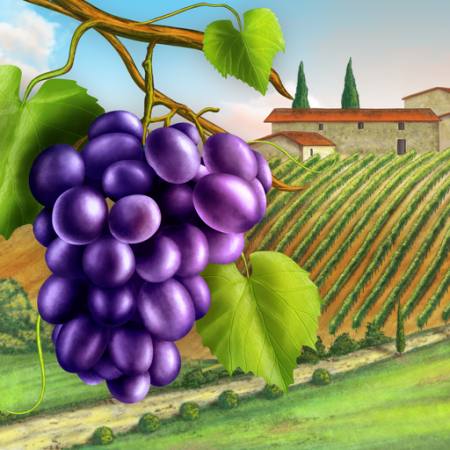 grapes, yard, green, leaf, vine, farm Andreus - Dreamstime