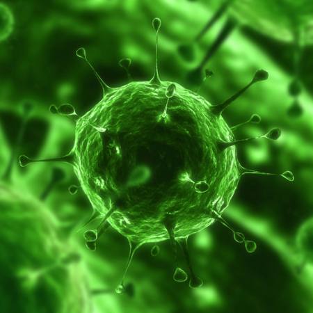 bacteria, virus, bug, illness, cell Sebastian Kaulitzki - Dreamstime