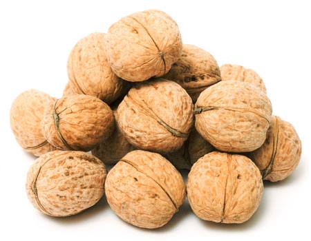 nut, nuts, bunch, eat, fruits Niderlander - Dreamstime