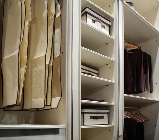 closet, shelf, shelves, clothes, dressing Pavel Losevsky (Paha_l)