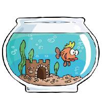 fish, bowl, swin, water, castle, sand Dedmazay - Dreamstime