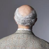 Pixwords The image with bald, man, back, head, hair Photographerlondon