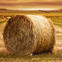 Pixwords The image with role, hay, grass, field Ben Goode - Dreamstime