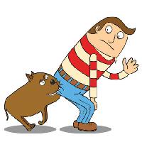 dog, man, ass, hello zenwae - Dreamstime