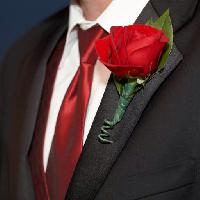 Pixwords The image with BOUTONNIERE