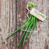 Pixwords The image with chives, green, plant, vegetable, vegetables, tag, wood stockcreations