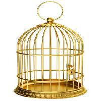 bird, cage, gold, lock Ayvan - Dreamstime