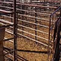 stable, animal, animals, empty, bars, fence Andrew Orlemann (Aorlemann)