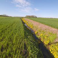 Pixwords The image with green, terrain, field, water, ditch Janis Smits - Dreamstime