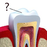 tooth, teeth, mouth Alexandr Mitiuc (Alexmit)