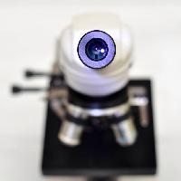 Pixwords The image with camera, lens, microscope catiamadio