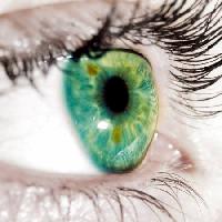 Pixwords The image with green, eyelids, eye Goran Turina - Dreamstime