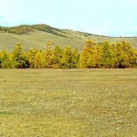 nature, landscape, mountain, mountains, tree, trees Aask