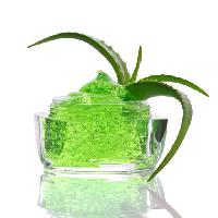 Pixwords The image with green, plant, cream Zaretskaya