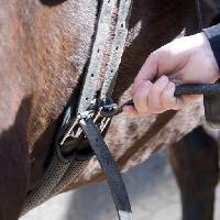 horse, hand Mariya Kondratyeva (Murysia)