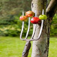 apples, fork, tree Krzysztof Drygalski - Dreamstime