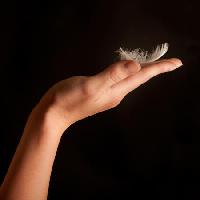 feather, hand, black Jochen Schönfeld - Dreamstime