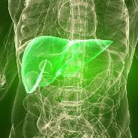 Pixwords The image with man, body, liver, organ Sebastian Kaulitzki - Dreamstime