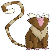 Pixwords The image with monkey, animal, tail, weird, surprised Dedmazay - Dreamstime