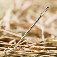 hay, stack, needle Valentyn75 - Dreamstime