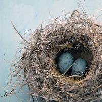 Pixwords The image with nest, egg, bird, blue, home, Antaratma Microstock Images © Elena Ray - Dreamstime