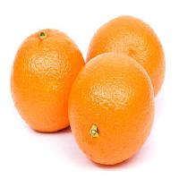 fruit, eat, orange Niderlander - Dreamstime