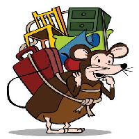 Pixwords The image with rat, travel, back, chair, briefcase, closet, mouse, furniture John Takai - Dreamstime