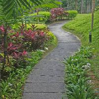 garden, flowers, walk, path, way Summersea - Dreamstime