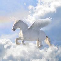 Pixwords The image with horse, clouds, fly, wings Viktoria Makarova - Dreamstime
