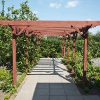 Pixwords The image with PERGOLA