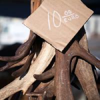 ten, euro, wood, tag, board, cartboard, horn, horns Eugenesergeev - Dreamstime