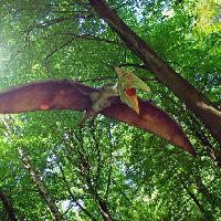 dragon, dinosaur, forest, trees, tree, fly, bird Petr Malohlava (Kivi)