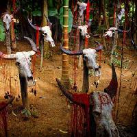 Pixwords The image with head, heads, skull, skulls, blood, trees, animals Victor Zastol`skiy - Dreamstime