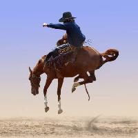 Pixwords The image with horse, man, Margojh - Dreamstime