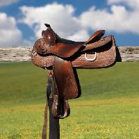 Pixwords The image with horse, saddle, green, grass, wood Tihis