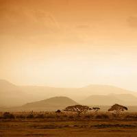 Pixwords The image with sky, desert, mountain, mountains, yellow, orange, nature, landscape Janina Kubik (Kubikactive)