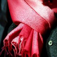 Pixwords The image with red, cloth, clothes, scarf, button Clarita
