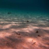 Pixwords The image with sea, sea floor, water, light, rays, sand Thomas Eder (Thomaseder)