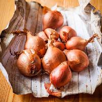 onion, paper, fruit, vegetable, vegetables Svetlana Kolpakova (Sarsmis)