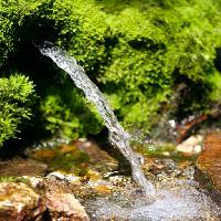 green, water, nature Akinshin