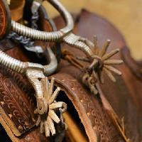 Pixwords The image with boots, brown, wheel, cowboy, object, round, spin, leather Zepherwind