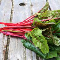 Pixwords The image with salad, wood, green, eat, food Nadine Mitchell (Nadine123)