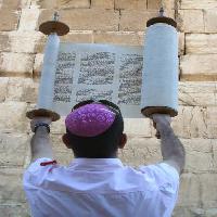 Pixwords The image with TORAH