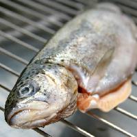 Pixwords The image with fish, animal, grill, food Savin-sorin Matei-contescu (Mateisavin)