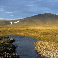 Pixwords The image with water, nature, mountain, yellow, field, snow, river Alexander Gruzdev (Gruzdevar)