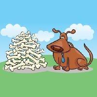 Pixwords The image with bones, dog, animal Igor Zakowski - Dreamstime